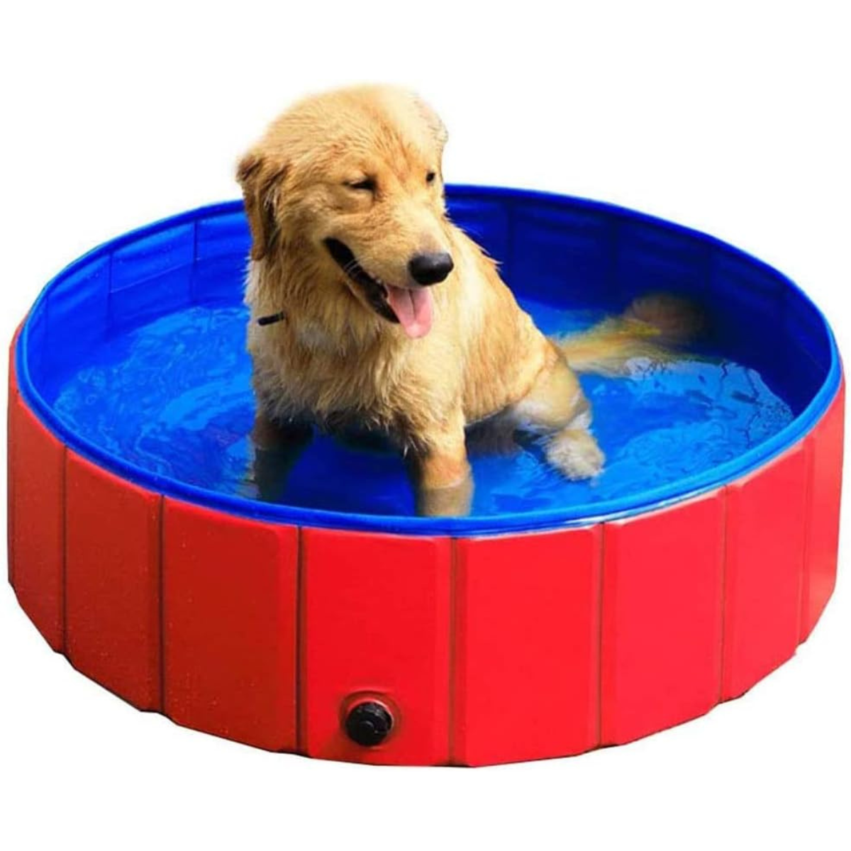 Piscina Plegable Para Mascotas (Talla S/M)